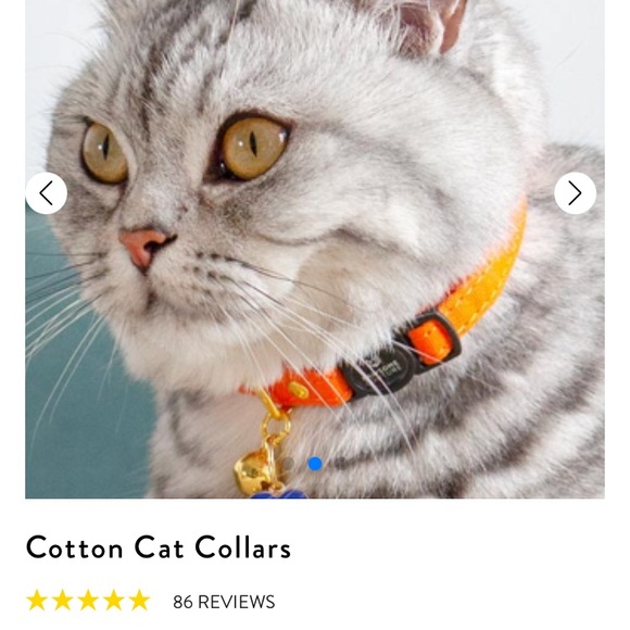 NWT PAWSOME COUTURE Cat Collar- Cotton - Picture 2 of 4